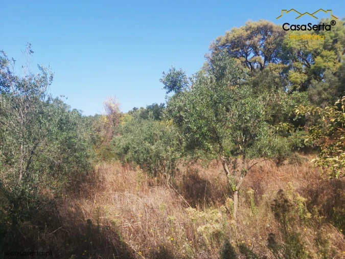 Terreno para Venda em Sertã Foto 10