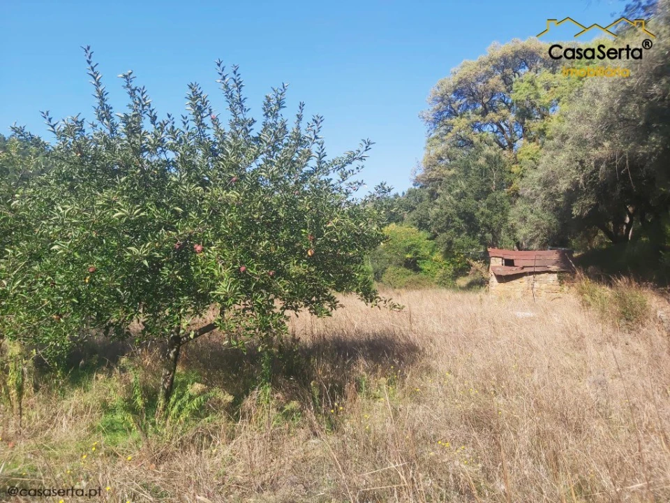 Terreno para Venda em Sertã Foto 12