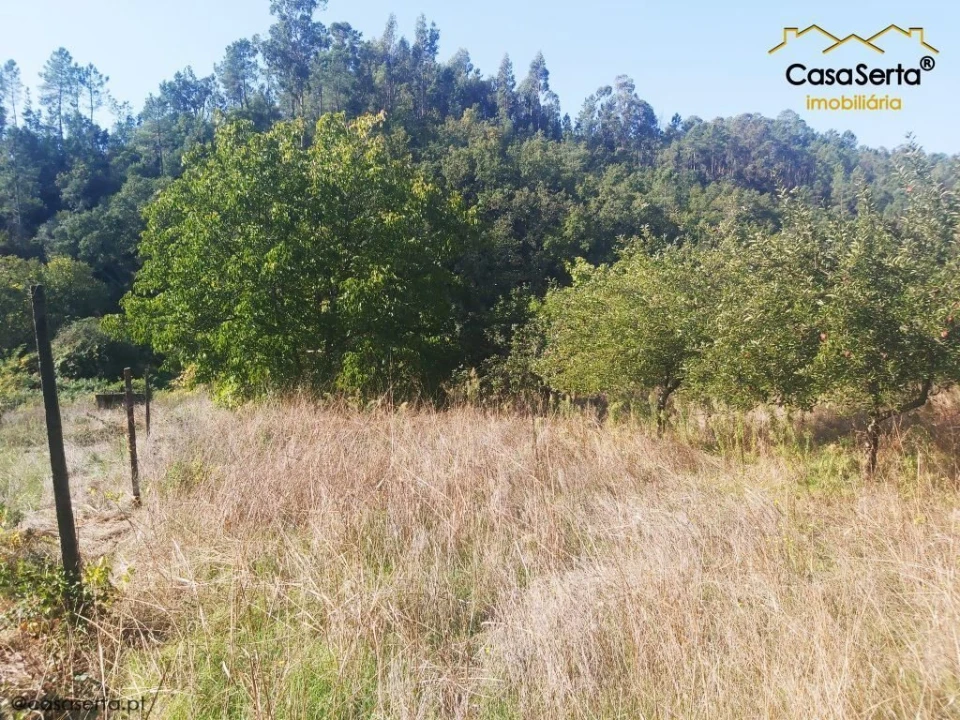 Terreno para Venda em Sertã Foto 15