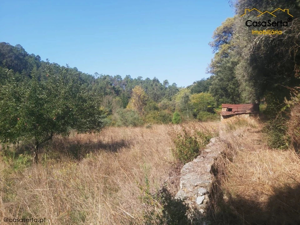 Terreno para Venda em Sertã Foto 17
