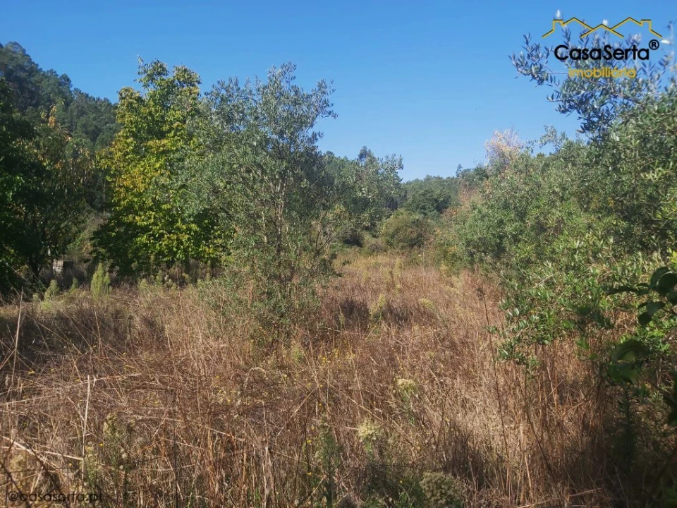 Terreno para Venda em Sertã Foto 9