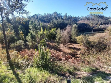 Terreno para Venda em Sertã