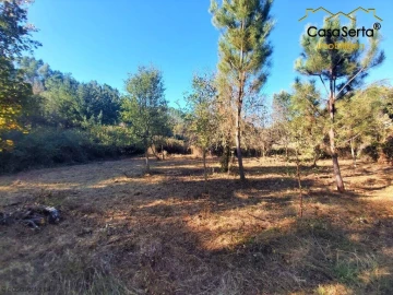 Terreno para Venda em Sertã