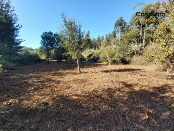 Terreno para Venda em Sertã