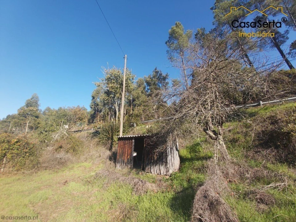Terreno para Venda em Sertã Foto 8