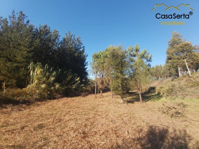 Terreno para Venda em Sertã Foto 13