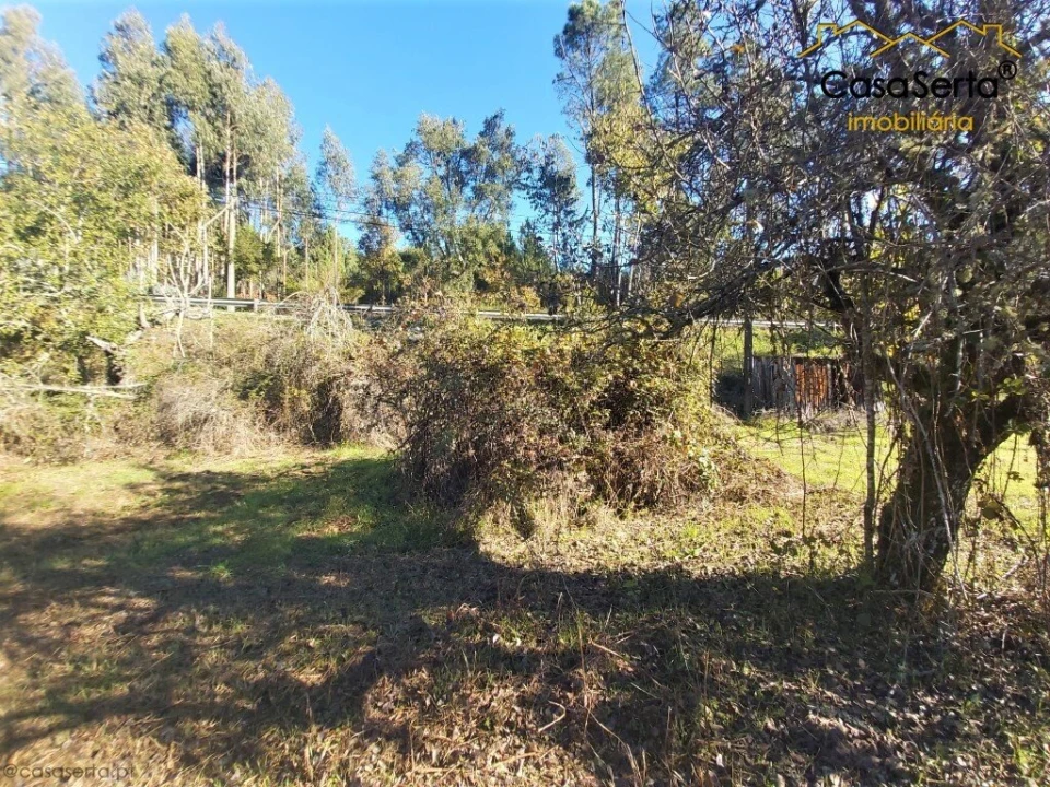 Terreno para Venda em Sertã Foto 10