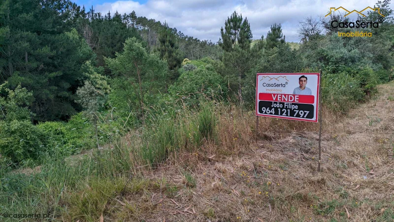 Terreno para Venda em Sertã Foto 3