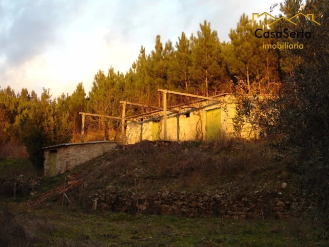 Terreno para Venda em Varzea dos Cavaleiros Foto 4
