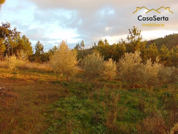 Terreno para Venda em Varzea dos Cavaleiros Foto 5