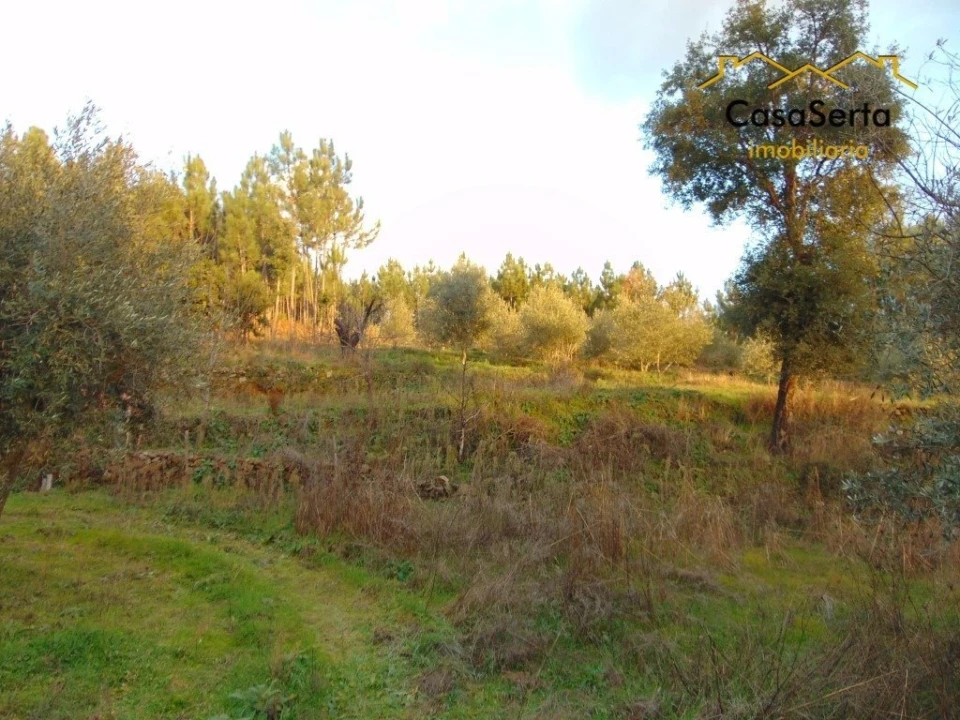 Terreno para Venda em Varzea dos Cavaleiros Foto 7