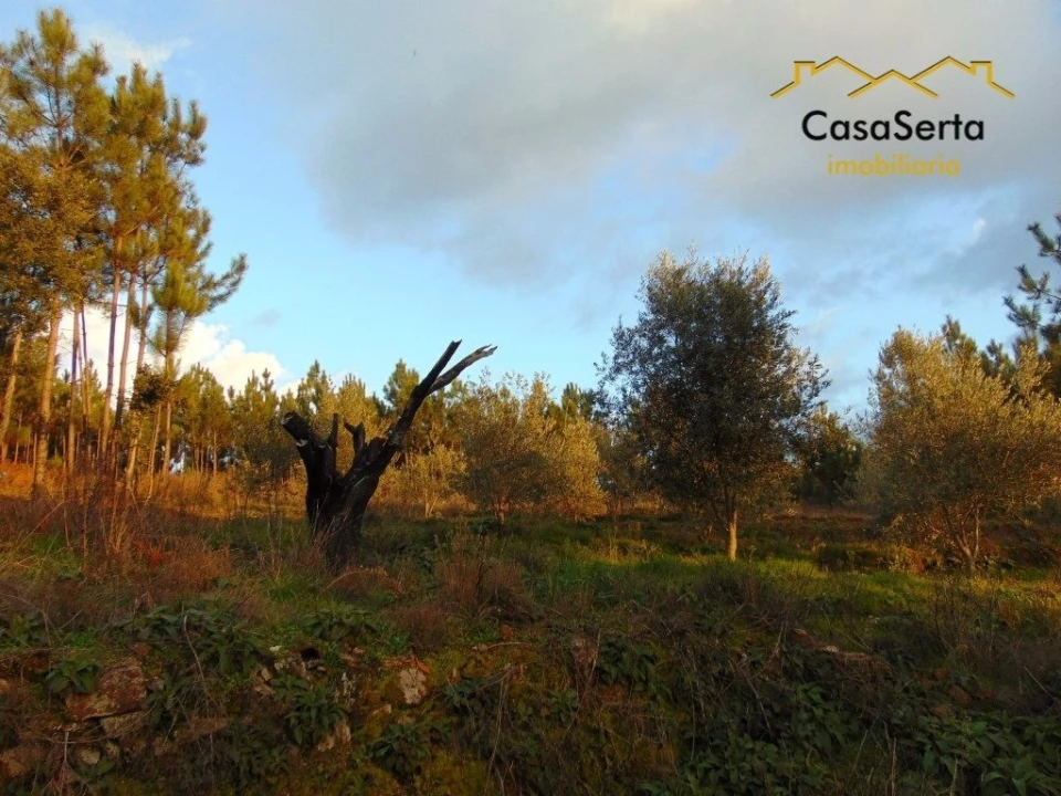 Terreno para Venda em Varzea dos Cavaleiros Foto 6