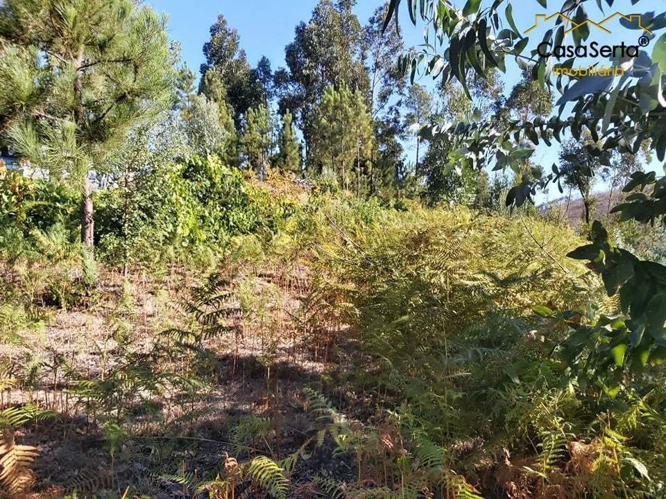Terreno para Venda em Mosteiro Foto 3