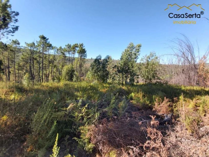 Terreno para Venda em Mosteiro Foto 8