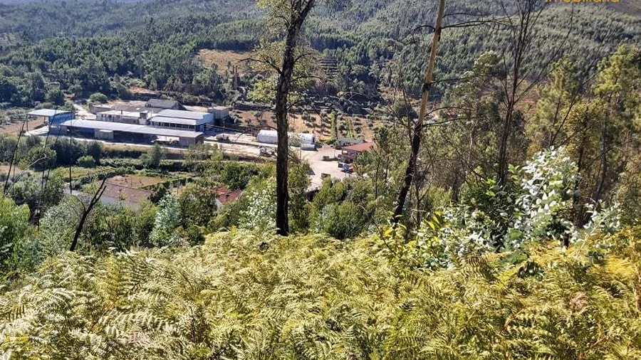 Terreno para Venda em Mosteiro