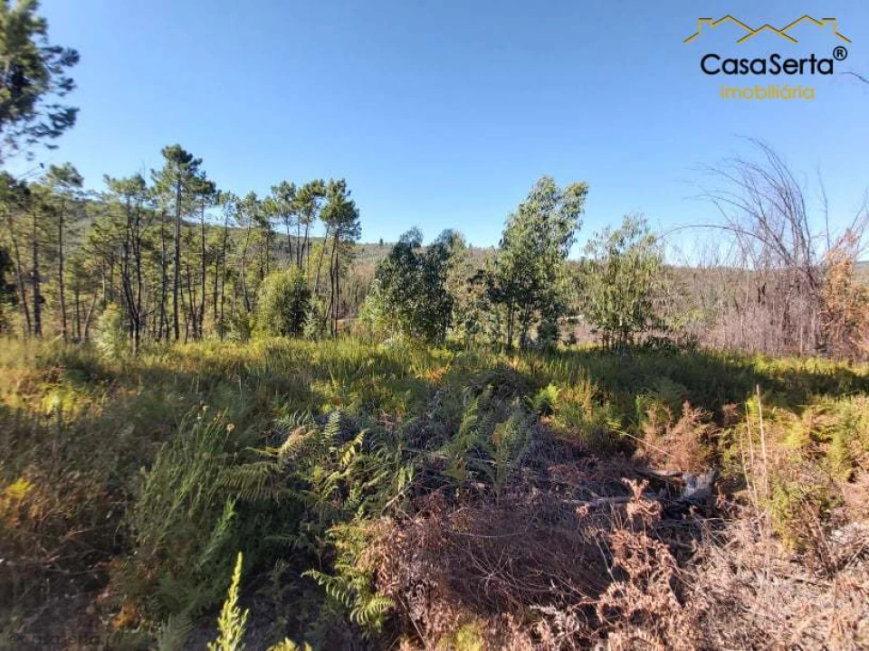 Terreno para Venda em Mosteiro Foto 8