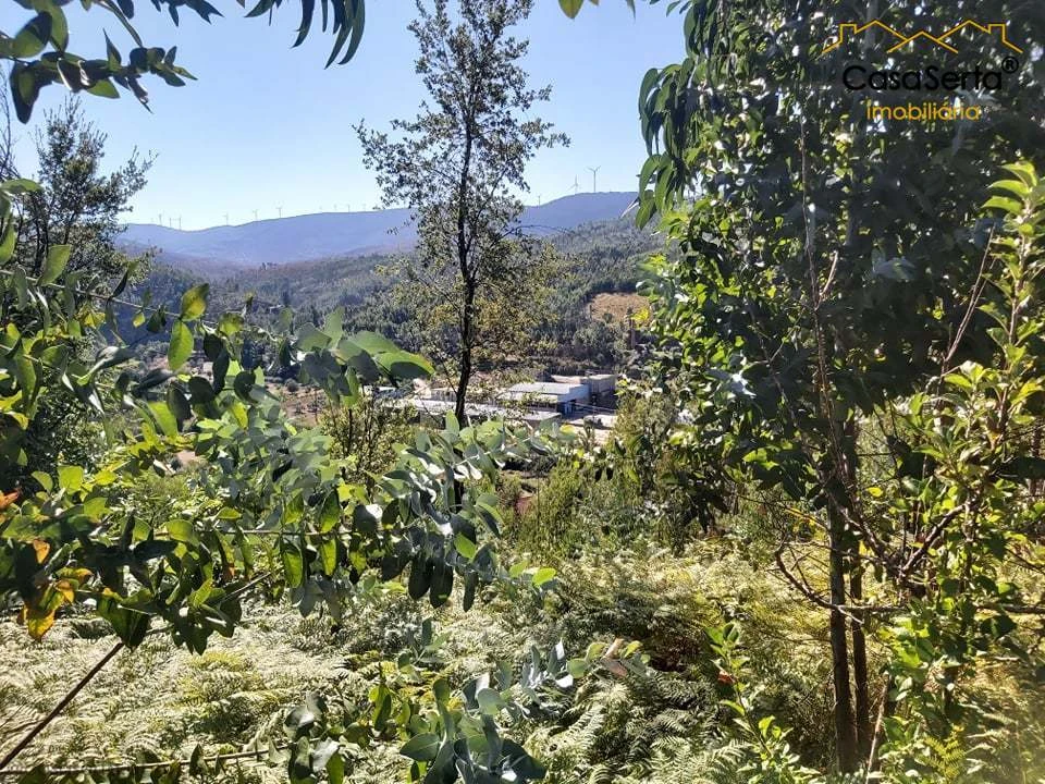 Terreno para Venda em Mosteiro Foto 5