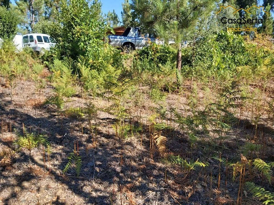Terreno para Venda em Mosteiro Foto 12