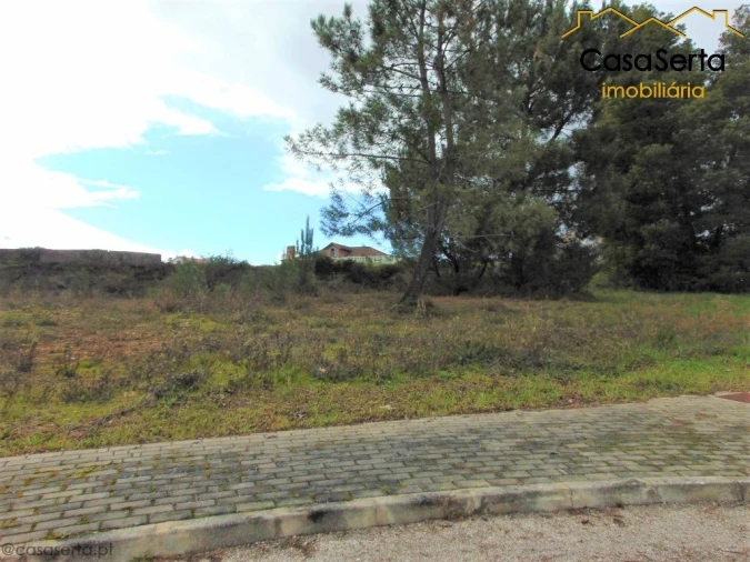 Terreno para Venda em Cernache do Bonjardim, Nesperal e Palhais Foto 5