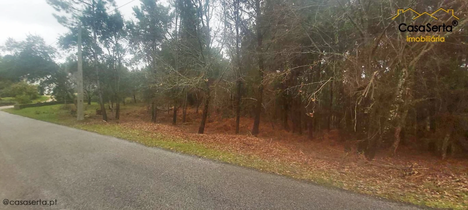 Terreno para Venda em Sertã Foto 1