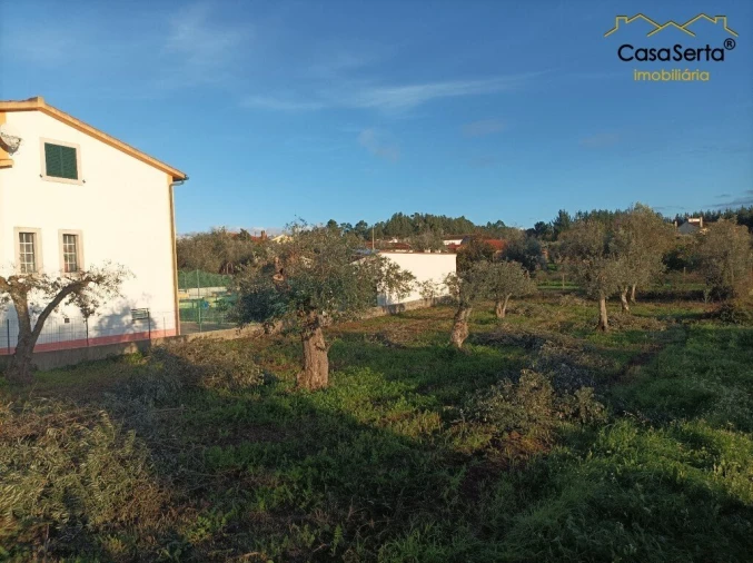 Terreno para Venda em Cabeçudo Foto 3