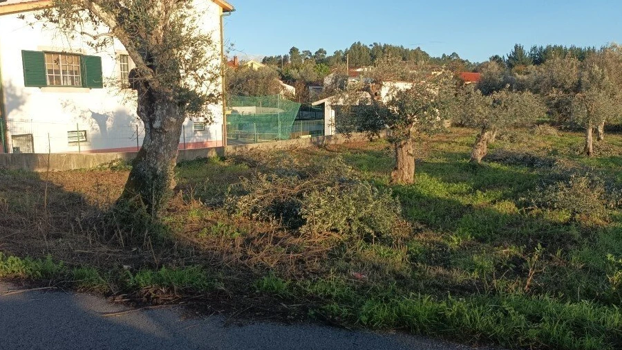 Terreno para Venda em Cabeçudo