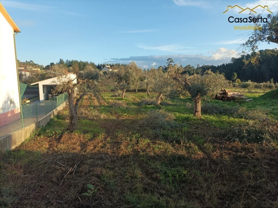 Terreno para Venda em Cabeçudo Foto 2