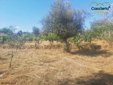 Terreno para Venda em Sertã