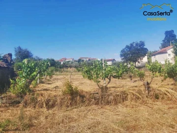 Terreno para Venda em Sertã