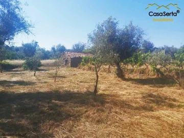 Terreno para Venda em Sertã
