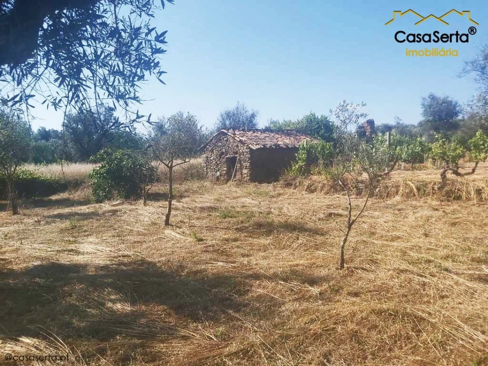 Terreno para Venda em Sertã Foto 9