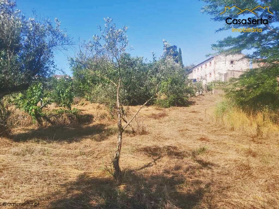 Terreno para Venda em Sertã Foto 7
