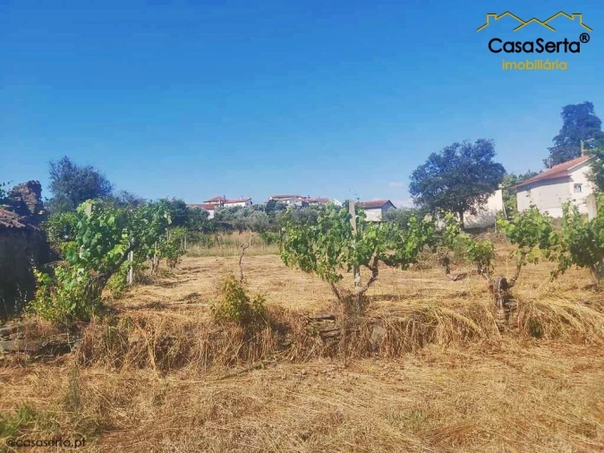 Terreno para Venda em Sertã Foto 4