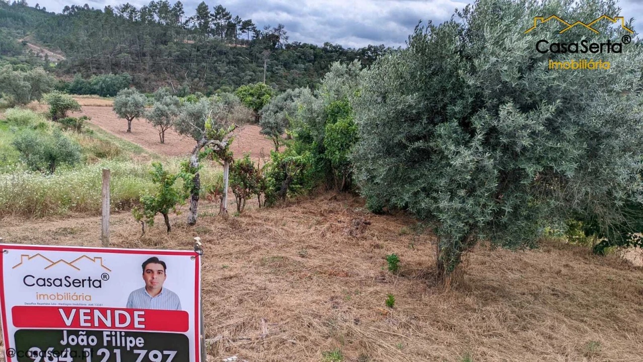 Terreno para Venda em Sertã Foto 2