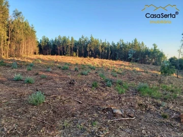 Terreno para Venda em Sertã