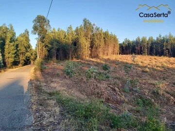 Terreno para Venda em Sertã