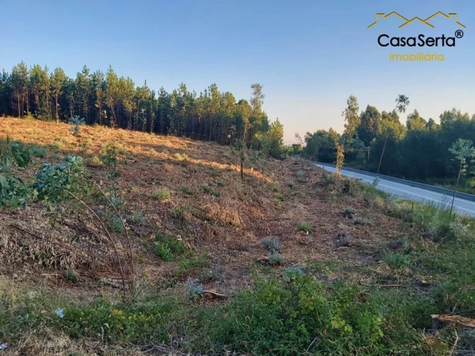 Terreno para Venda em Sertã Foto 3