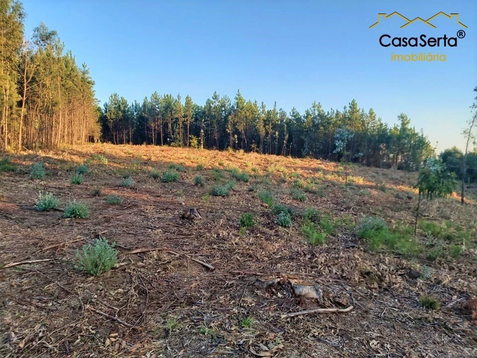 Terreno para Venda em Sertã Foto 1