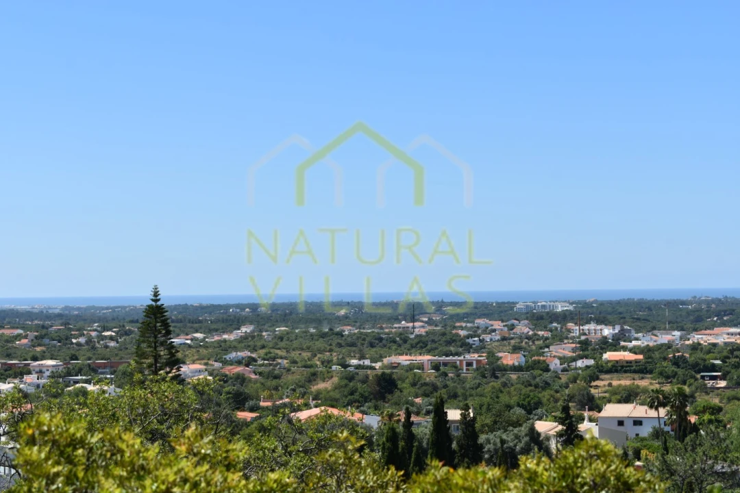 Terreno Agricola ou Rústico para Venda em Loule (São Clemente) Foto 1