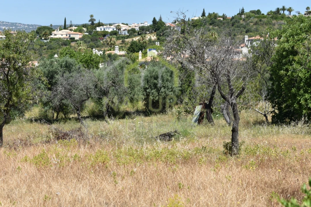 Terreno Agricola ou Rústico para Venda em Loule (São Clemente) Foto 2