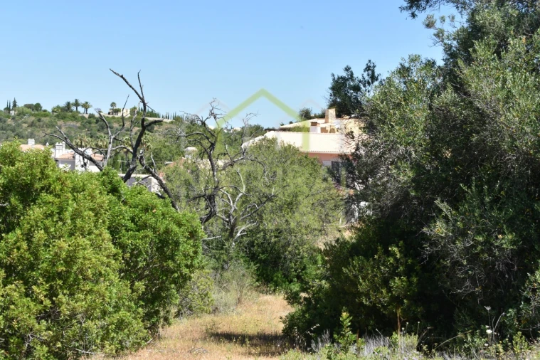 Terreno Agricola ou Rústico para Venda em Loule (São Clemente) Foto 8