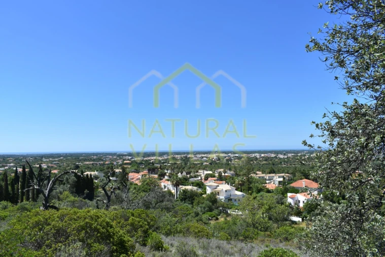 Terreno Agricola ou Rústico para Venda em Loule (São Clemente) Foto 14