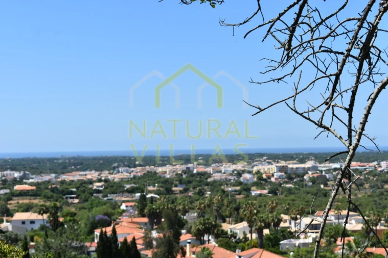 Terreno Agricola ou Rústico para Venda em Loule (São Clemente) Foto 13