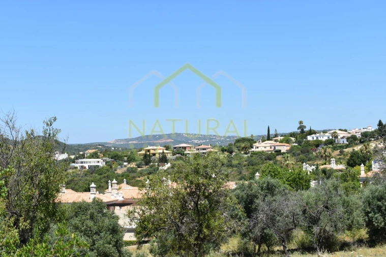 Terreno Agricola ou Rústico para Venda em Loule (São Clemente) Foto 9