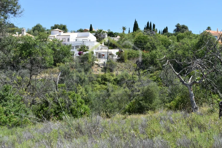 Terreno Agricola ou Rústico para Venda em Loule (São Clemente) Foto 10