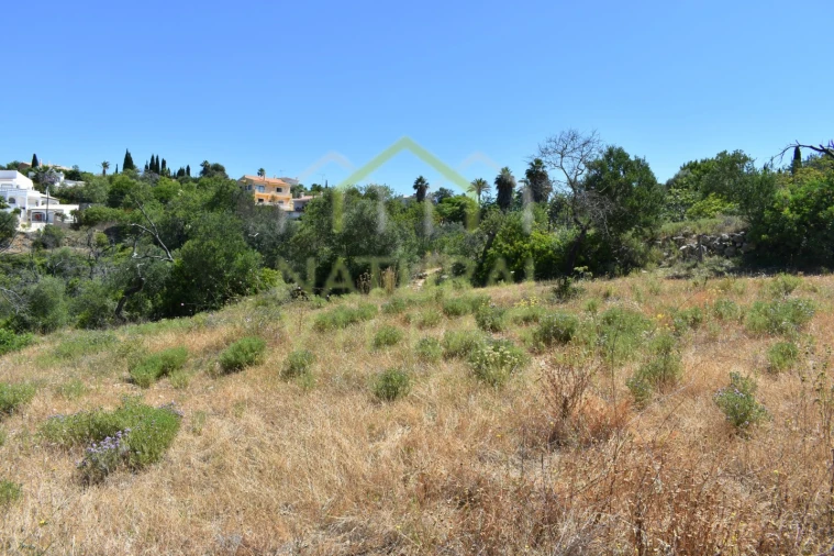 Terreno Agricola ou Rústico para Venda em Loule (São Clemente) Foto 11