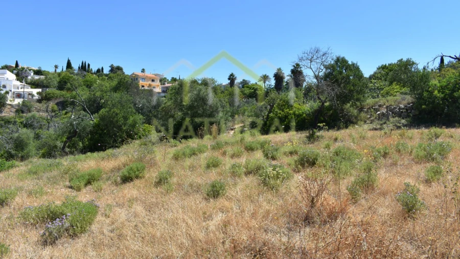 Terreno Agricola ou Rústico para Venda em Loule (São Clemente)
