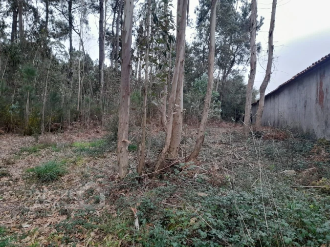 Terreno para Venda em Cristelo Foto 3
