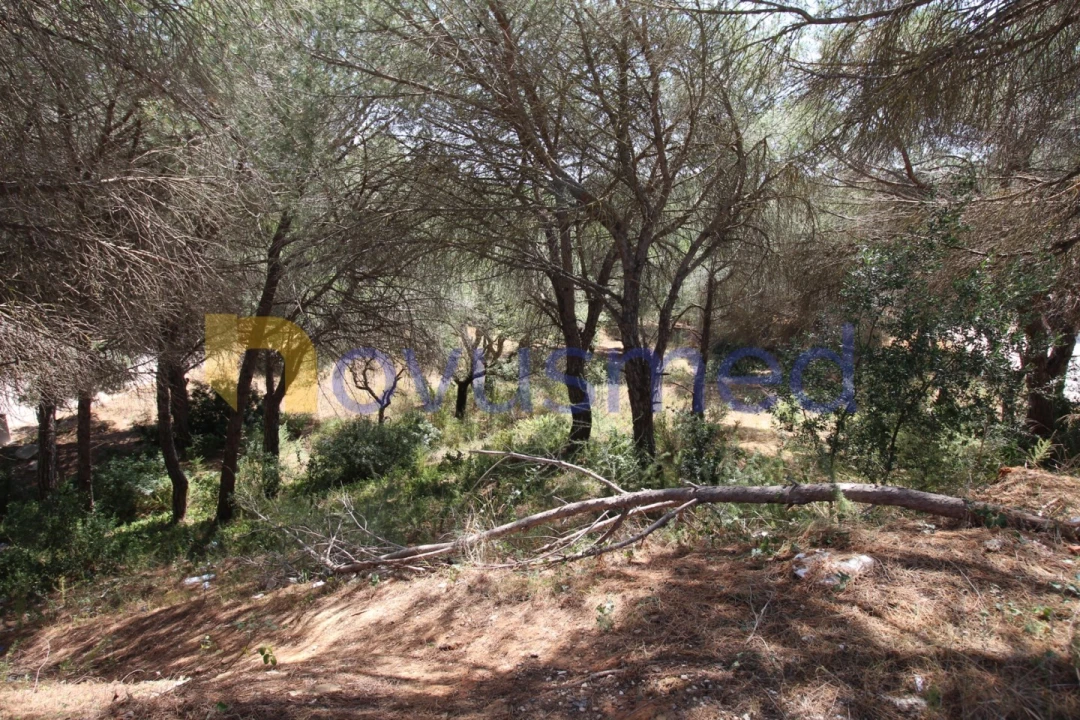 Terreno Comércio / Armazém para Venda em Albufeira e Olhos de Água Foto 6