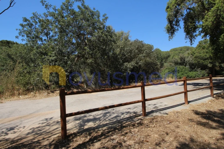 Terreno Comércio / Armazém para Venda em Albufeira e Olhos de Água Foto 3